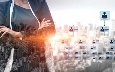 Why Every Small Business Needs a Strong Operational Framework